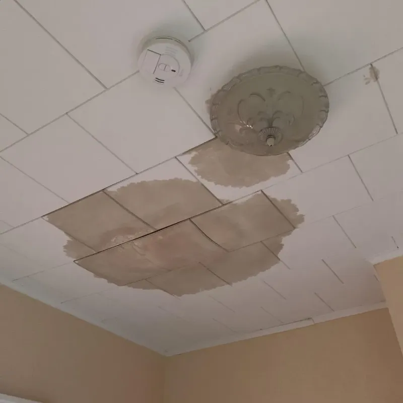 Ceiling Water Damage Repair in Tuolumne City, CA
