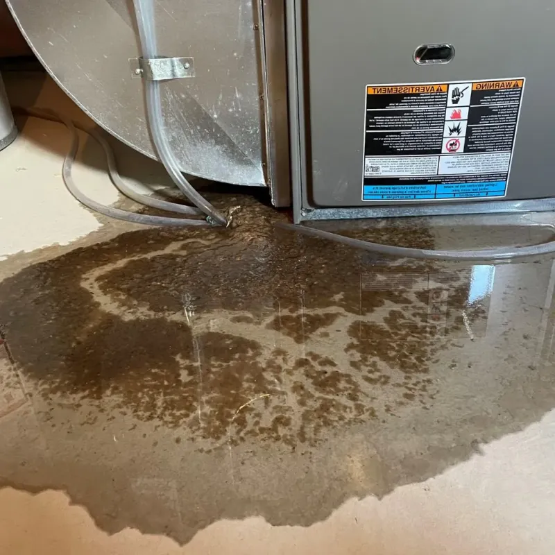 Pipe Burst and Leak Restoration in Tuolumne City, CA