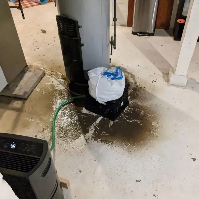 Sewage Backup Cleanup Service in Tuolumne City, CA
